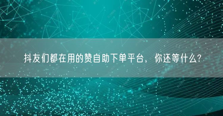 抖友们都在用的赞自助下单平台,你还等什么?