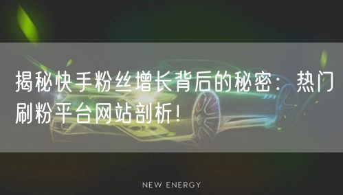 揭秘快手粉丝增长背后的秘密:热门刷粉平台网站剖析!