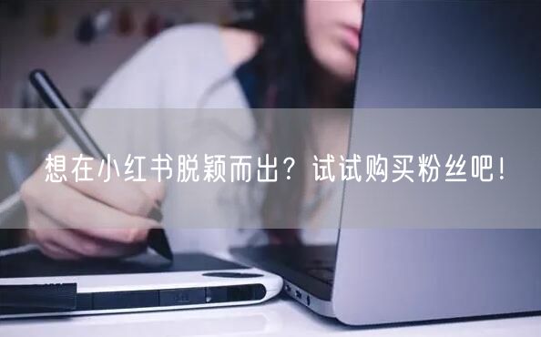 想在小红书脱颖而出?试试购买粉丝吧!
