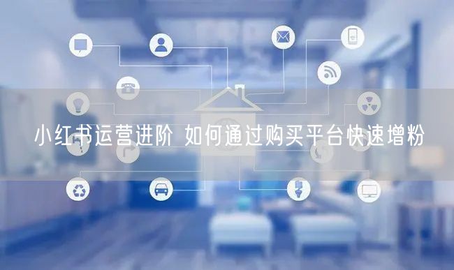 小红书运营进阶 如何通过购买平台快速增粉