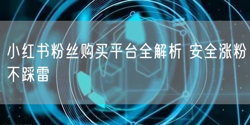 小红书粉丝购买平台全解析 安全涨粉不踩雷