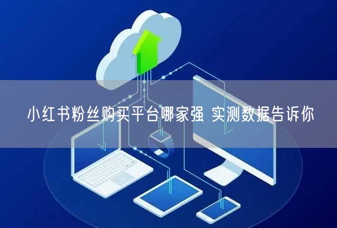小红书粉丝购买平台哪家强 实测数据告诉你