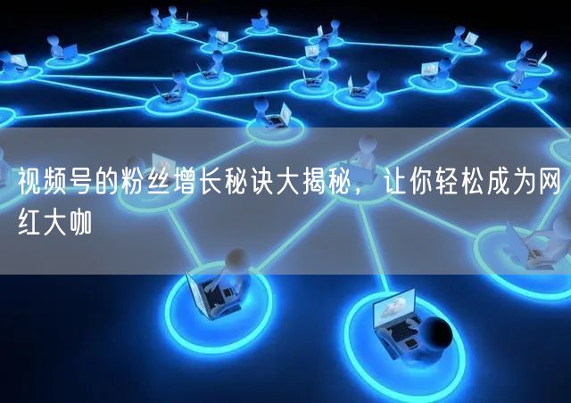 视频号的粉丝增长秘诀大揭秘,让你轻松成为网红大咖