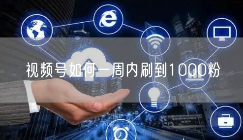 视频号如何一周内刷到1000粉